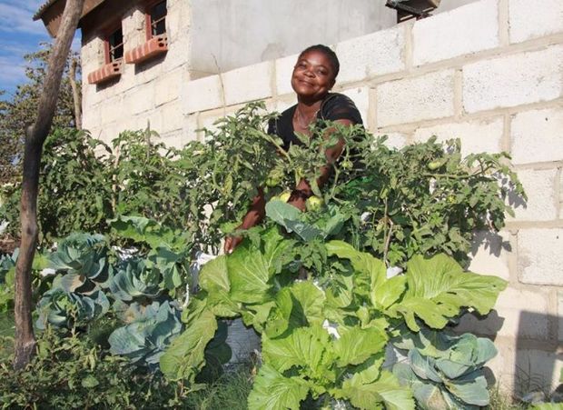 Eulie (above) is passionate about the benefits of sack gardening for her family and community